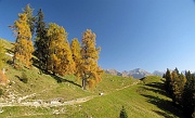 18 Larici centenari, versione del 24 8bre...